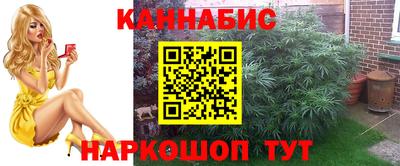 тгк Дубна
