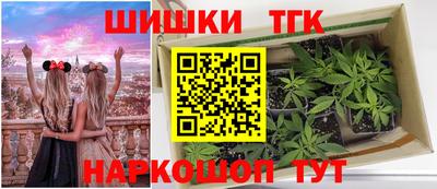 тгк Дубна