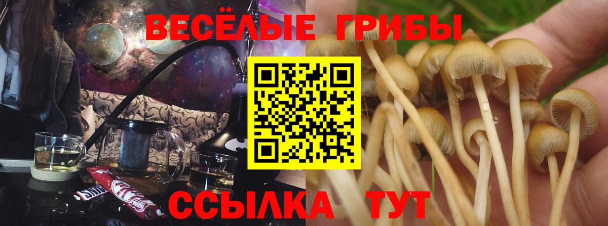 Надым  Галлюциногенные грибы Psilocybine cubensis  Вход с VPN 